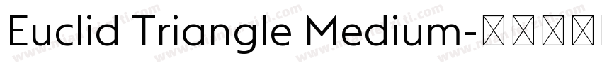 Euclid Triangle Medium字体转换